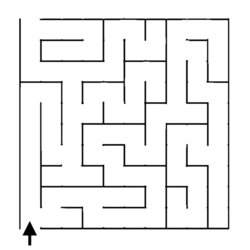 The first maze