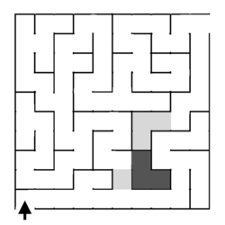 The second maze